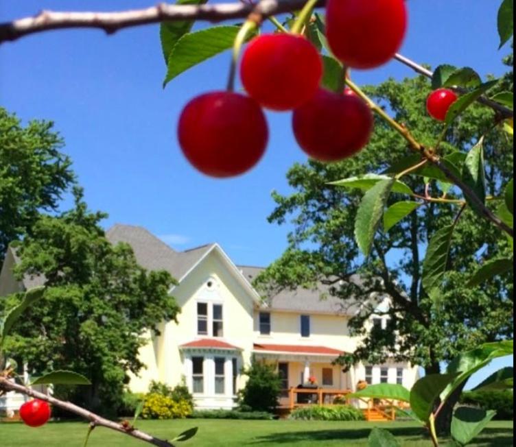 Country Hermitage Bed & Breakfast Acme Ngoại thất bức ảnh